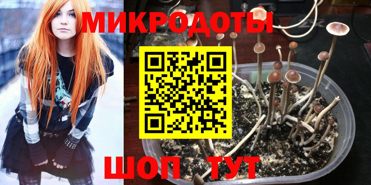 Галлюциногенные грибы ЛСД Сызрань