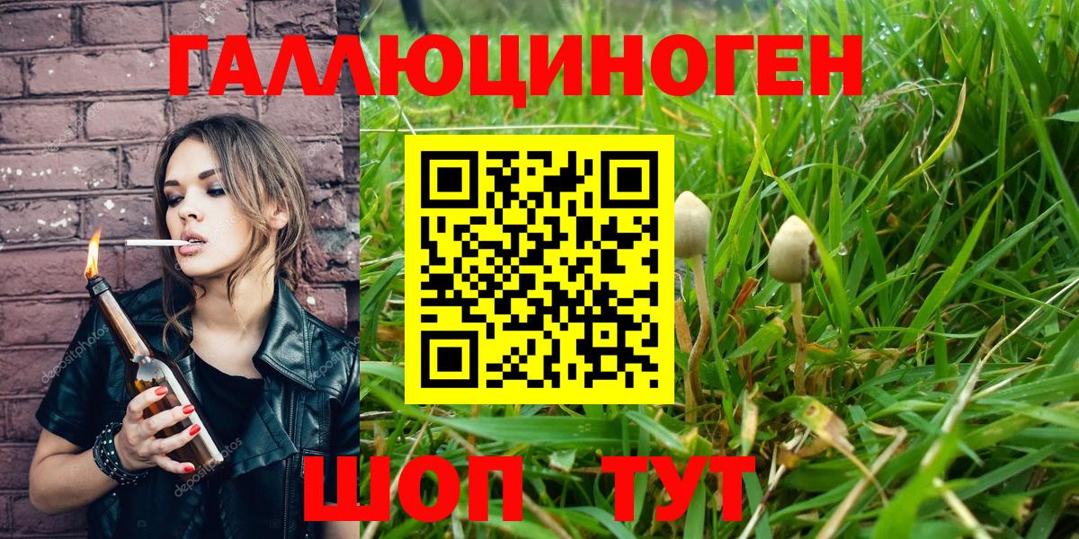 Псилоцибиновые грибы MAGIC MUSHROOMS  Галлюциногенные грибы GOLDEN TEACHER  Вход с VPN  Сызрань 